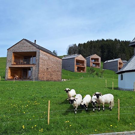 Apartment Rheintal Im Alpenvorland Batschuns Экстерьер фото