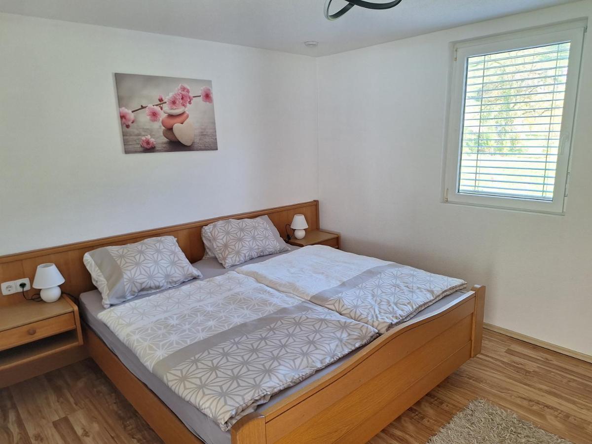 Apartment Rheintal Im Alpenvorland Batschuns Экстерьер фото