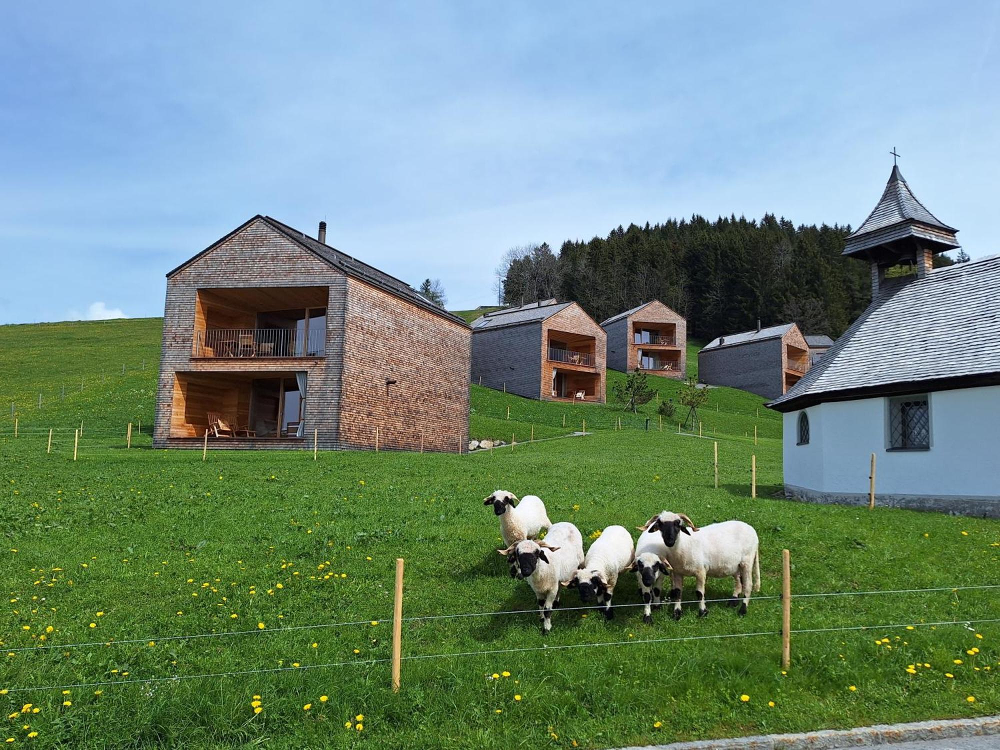 Apartment Rheintal Im Alpenvorland Batschuns Экстерьер фото