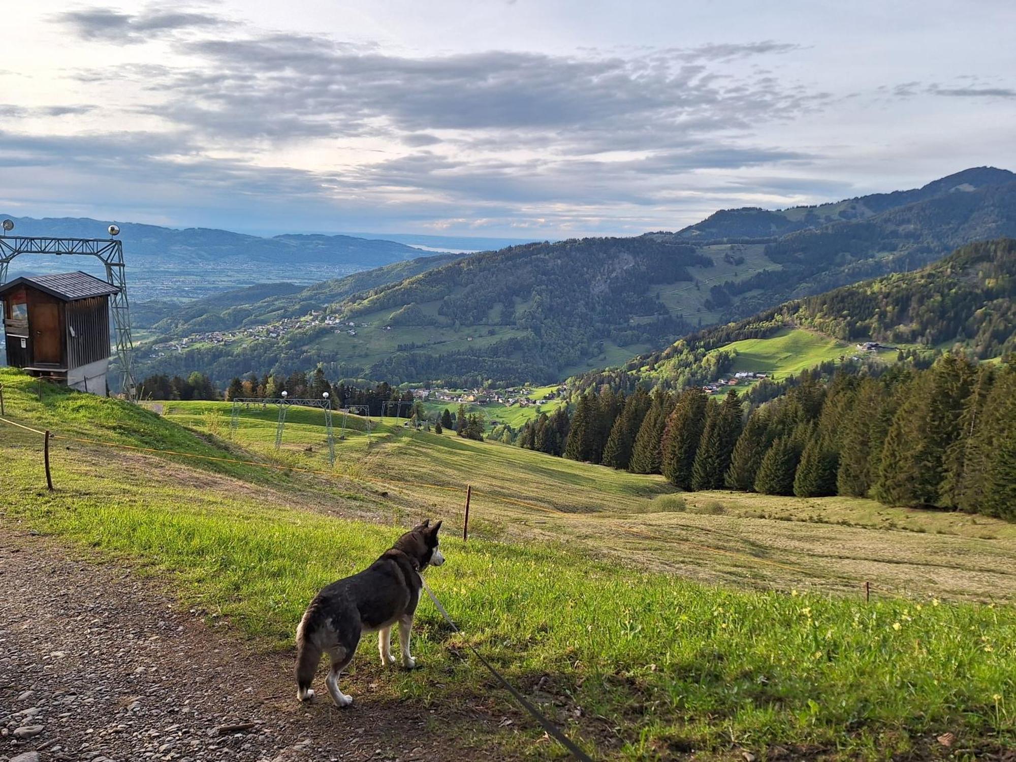 Apartment Rheintal Im Alpenvorland Batschuns Экстерьер фото