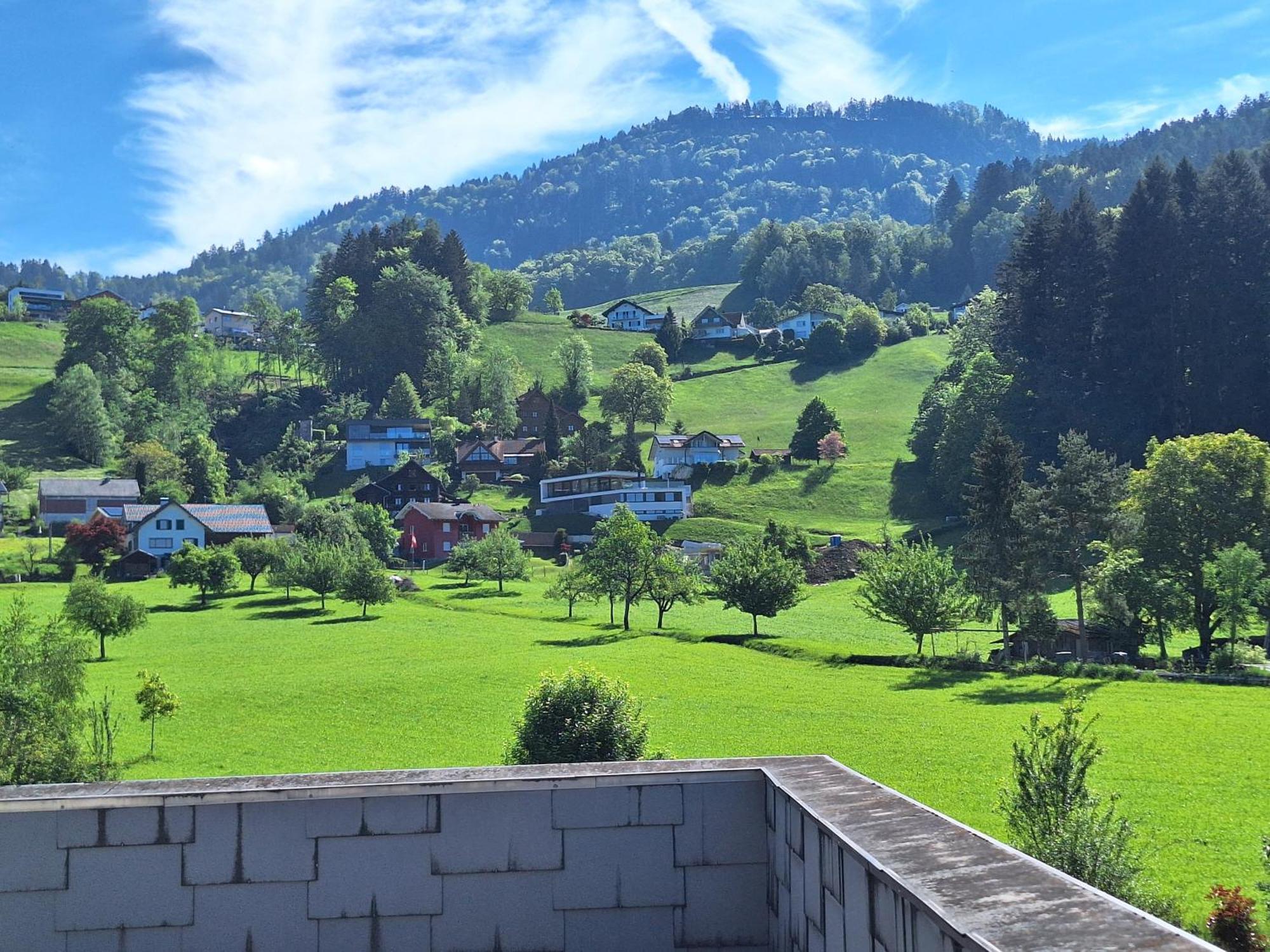 Apartment Rheintal Im Alpenvorland Batschuns Экстерьер фото